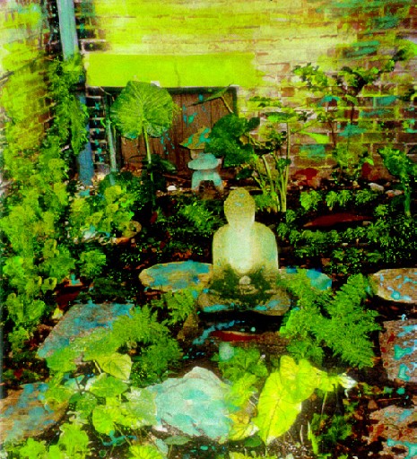 Original image